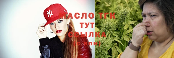 сатива Пересвет