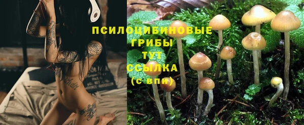 МДПВ Покачи
