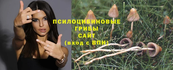 spice Покровск